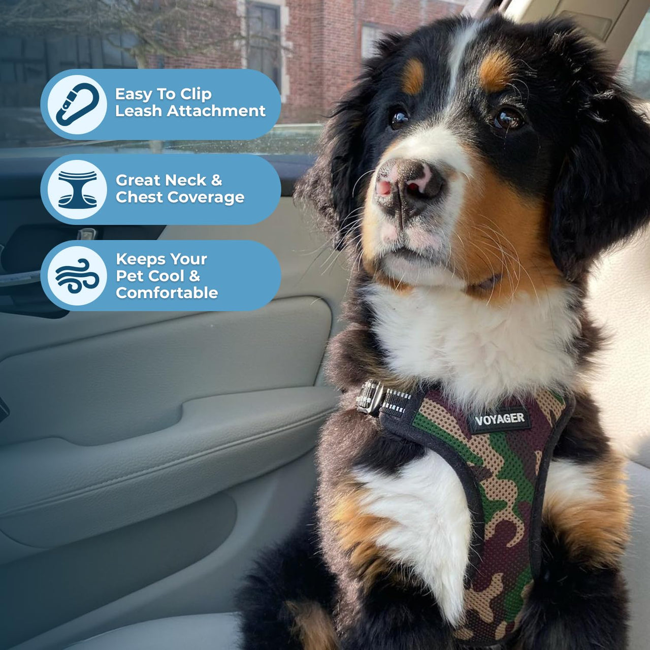 Best Pet Supplies Voyager Adjustable Dog Harness with Reflective Stripes for Walking, Jogging, Heavy-Duty Full Body No Pull Vest with Leash D-Ring, Breathable All-Weather - Army/Black Trim, S Harness (Army/Black Trim) S (Chest: 15 - 18")