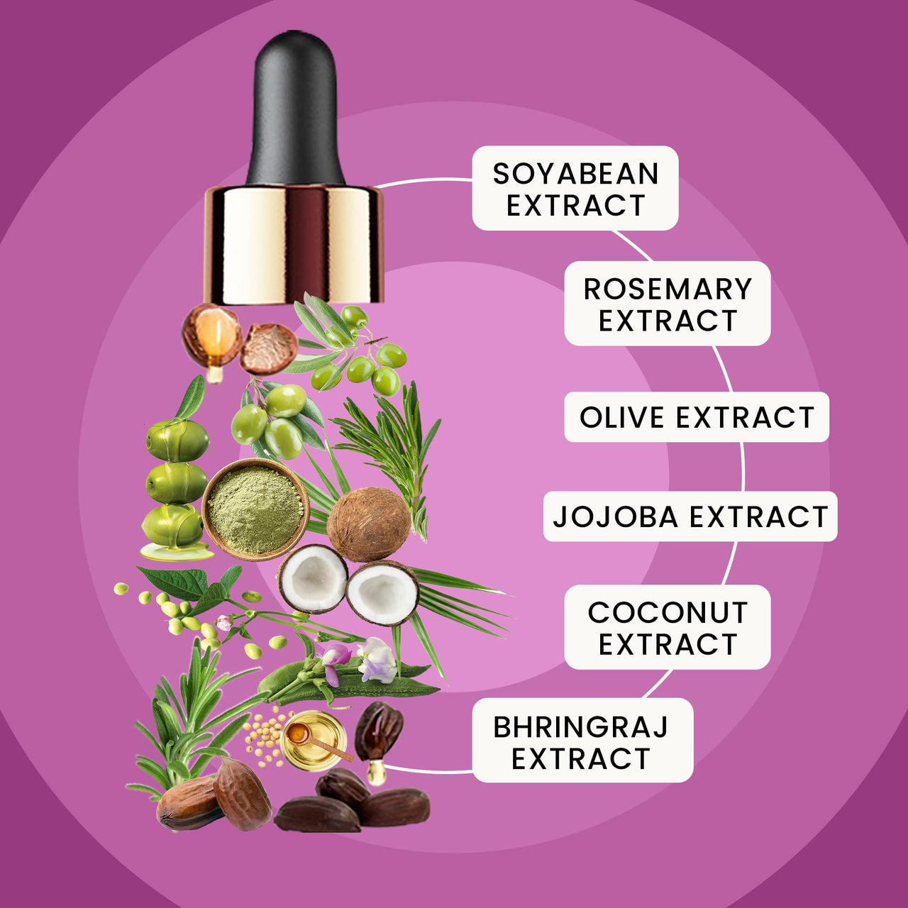 WildOak Advanced Rosemary Jojoba Hair Oil for Hair Growth & Scalp Nourishment | Anti-Hair Fall, Dandruff Control & Deep Hydration | Strengthens Roots, Boosts Shine & Thickness | For Men & Women | 50ml