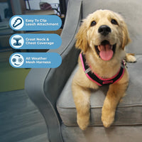 Voyager Step-in Air Dog Harness - All Weather Mesh Step in Vest Harness for Small and Medium Dogs by Best Pet Supplies - Pink Trim, L Harness (Black/Pink Trim) L (Chest: 18 - 20.5