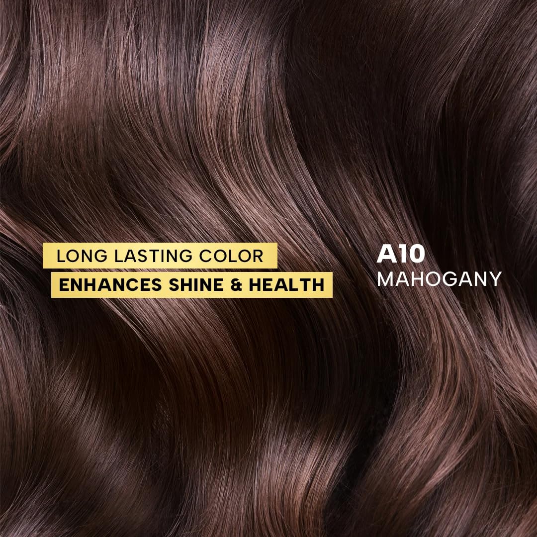 Berina Professional | Permanent Hair Color Cream | 60gm | A10 Mahogany | Long Lasting Color
