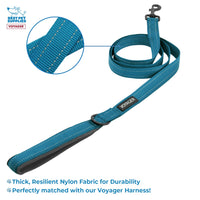 Voyager Step-in Plush Dog Harness  Soft Plush, Step in Vest Harness and Reflective Dog 5 ft Leash Combo with Neoprene Handle for Small and Medium Dogs by Best Pet Supplies -Set (Turquoise Plush), M