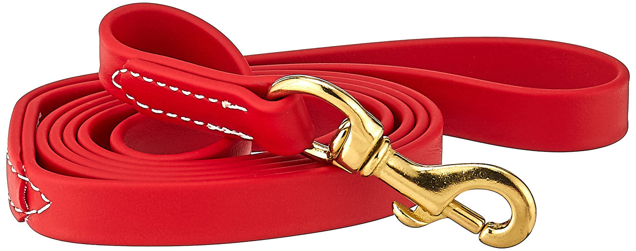 J&J Dog Supplies Biothane Dog Leash, 3/4" Wide by 6' Long, Red