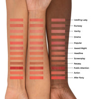 PAC Spotlight Blush | Natural Brightening Lip Color Lightweight Long Lasting Ultra-Matte HD Finish Blusher for Face Makeup | Highly Pigmented & Blendable for All Skin Type - Screenplay (10.6g)