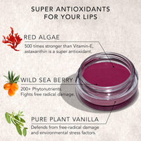 DAUGHTER EARTH Vegan Lip and Cheek Tint | Matte Natural Blush for Women | Lip Tint with Vitamin E | Nourishing Cheek Tint, 4.5g - Foncé Red (Maroon)