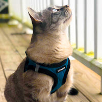 Voyager Step-In Plush Dog Harness  Soft Plush, Step In Vest Harness for Small and Medium Dogs by Best Pet Supplies - Harness (Turquoise Plush), L (Chest: 18 - 20.5