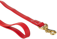 J&J Dog Supplies Biothane Dog Leash, 3/4
