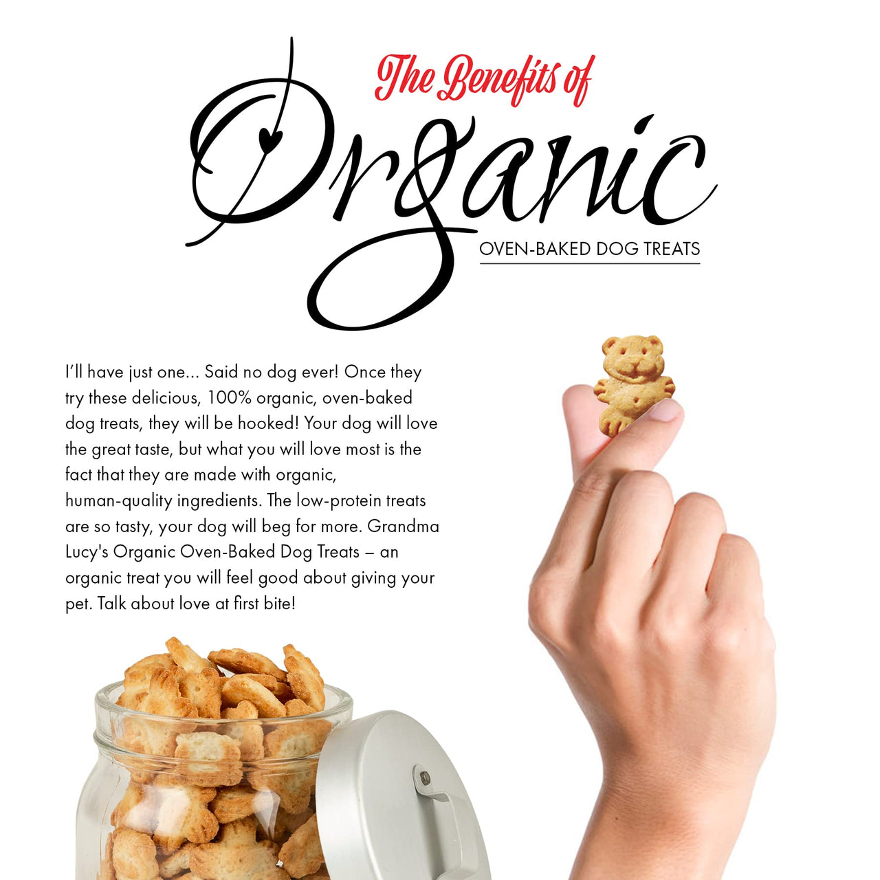 Grandma Lucy's  Organic Oven Baked Dog Treats - Banana & Sweet Potato, 14 oz