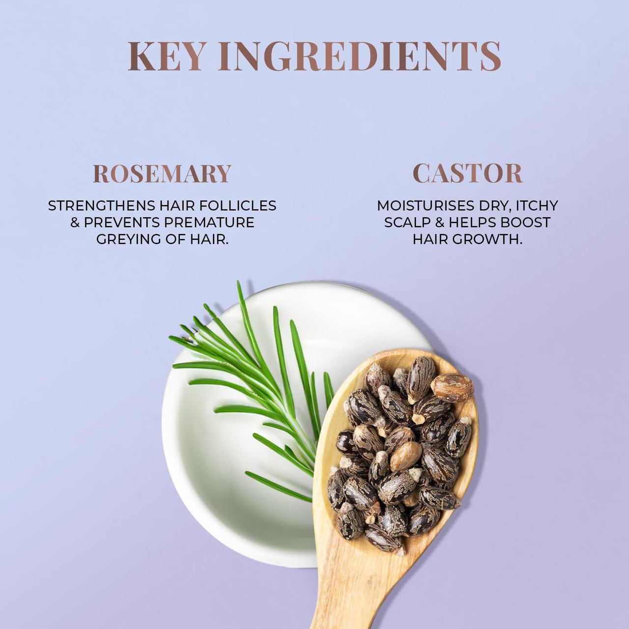 Just Herbs Rosemary Hair Growth Oil Promotes Hair Growth and Reduces Hairfall & Dandruff 100 ml