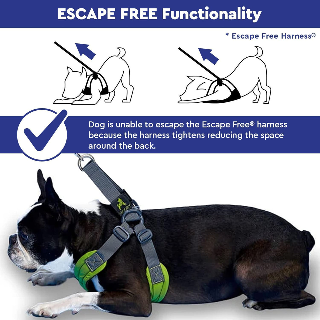 Gooby Escape Free Sport Harness - Blue, Large - No Choke Step-in Patented Neoprene Small Dog Harness with Four-Point Adjustment - Perfect on The Go Dog Harness for Medium Dogs No Pull and Small Dogs Large chest (16-24.25")