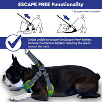 Gooby Escape Free Sport Harness - Blue, Large - No Choke Step-in Patented Neoprene Small Dog Harness with Four-Point Adjustment - Perfect on The Go Dog Harness for Medium Dogs No Pull and Small Dogs Large chest (16-24.25