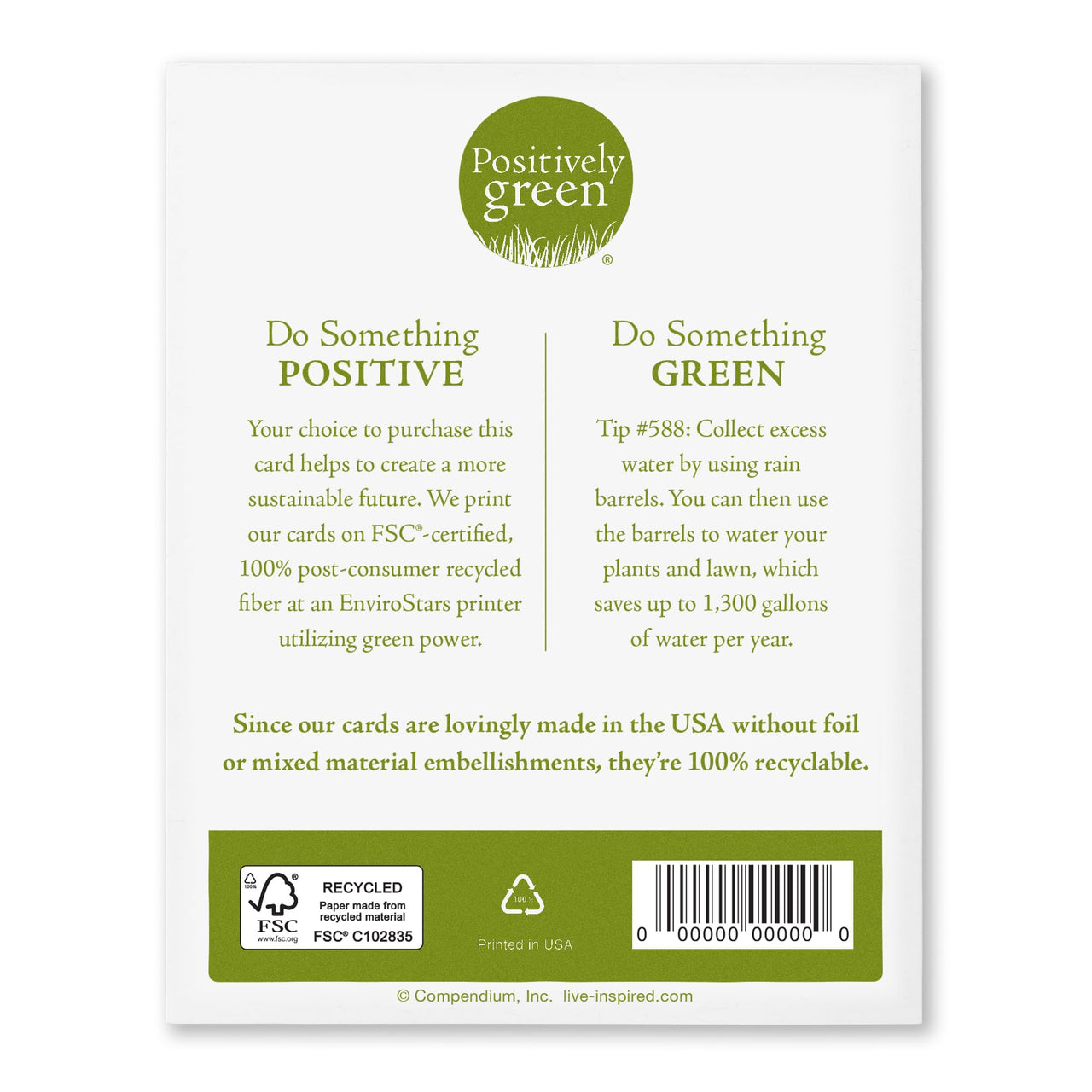 Compendium Positively Green Birthday Cards - 4-Pack with Envelopes, Birthday Joy