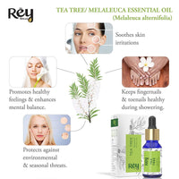 Rey Naturals Tea Tree Oil & Rosemary Oil For Hair Growth & Dandruff Control | Pure Essential Oil For Hair, Face & Skin Care | For All Skin & Hair Types - 15ML*2