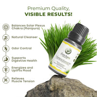 ZenAum Essences Mind, Body & Soul Ritual Set | 100% Pure Rosemary, Lavender & Lemongrass Essential Oils Pack of 3 (15ml Each) | Clear Mind, Calm Mood & Fresh Energy | Diffuser, Skincare & Wellness Use | GMP, IFRA, ISO Certified