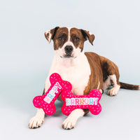 Fringe Studio Plush Dog Toy, It's  My Barkday, Pet Shop Collection (314226)