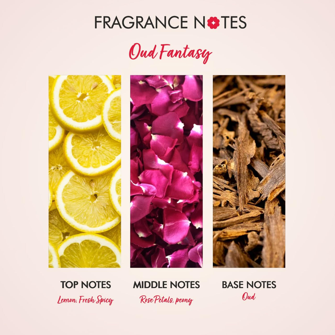 THE LOVE CO. Oud Fantasy Body Wash | Nourishing and Hydrating Formula for Silky Smooth Skin | For Fragrant and Rejuvenating Shower Experience | 50Ml