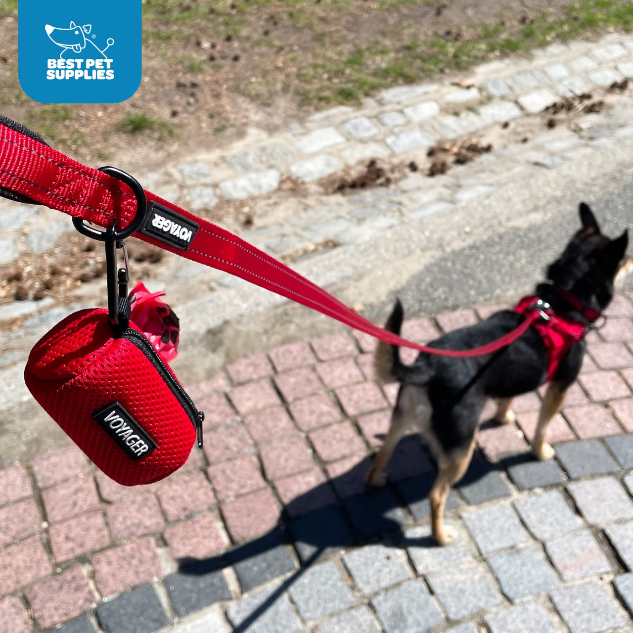Best Pet Supplies 2-Pack Dog Poop Bag Holder Leash Attachment, Color, Reusable Mesh Dispenser Pouch for Travel, Walking, Park, and Outdoor Use, Soft and Durable with Clip-On - Mesh Baby Blue Mesh Dispensers (Baby Blue) 1 Count (Pack of 2)