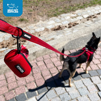 Best Pet Supplies 2-Pack Dog Poop Bag Holder Leash Attachment, Color, Reusable Mesh Dispenser Pouch for Travel, Walking, Park, and Outdoor Use, Soft and Durable with Clip-On - Mesh Baby Blue Mesh Dispensers (Baby Blue) 1 Count (Pack of 2)