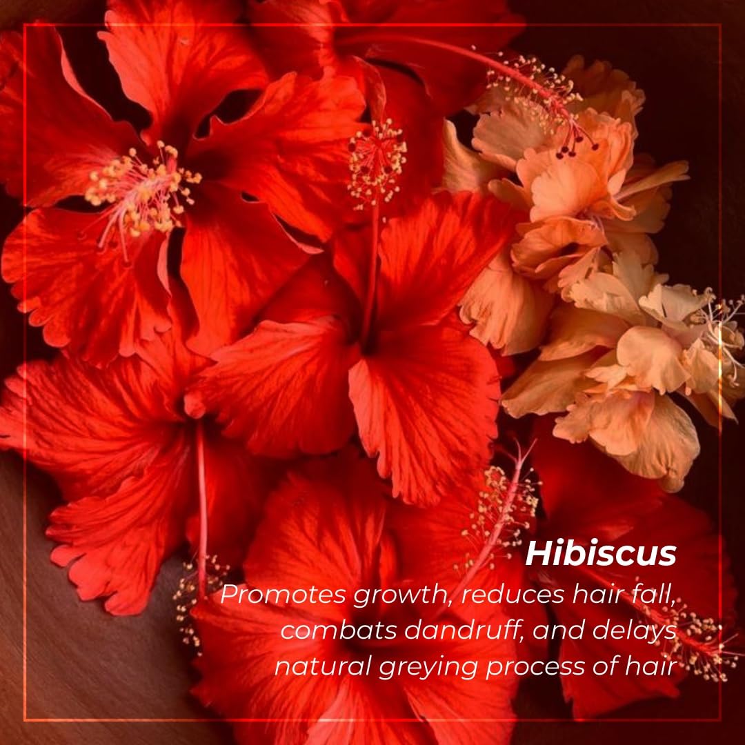 INDUS VALLEY Bio Organic Natural And Pure Edible Fenugreek Powder (Methi powder) with Edible Hibiscus Powder Hibiscus rosa-sinensis for Skin Care & Hair Care (100g*2=200g)
