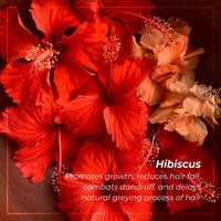 INDUS VALLEY Bio Organic Natural And Pure Edible Fenugreek Powder (Methi powder) with Edible Hibiscus Powder Hibiscus rosa-sinensis for Skin Care & Hair Care (100g*2=200g)