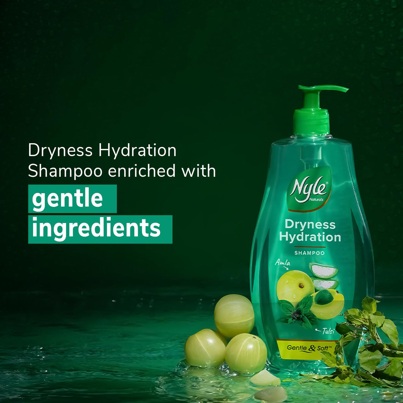 Nyle Naturals Damage Repair Anti Hairfall Shampoo, With Shikakai And Hibiscus, Gentle and soft shampoo, PH balanced and Paraben free,1L