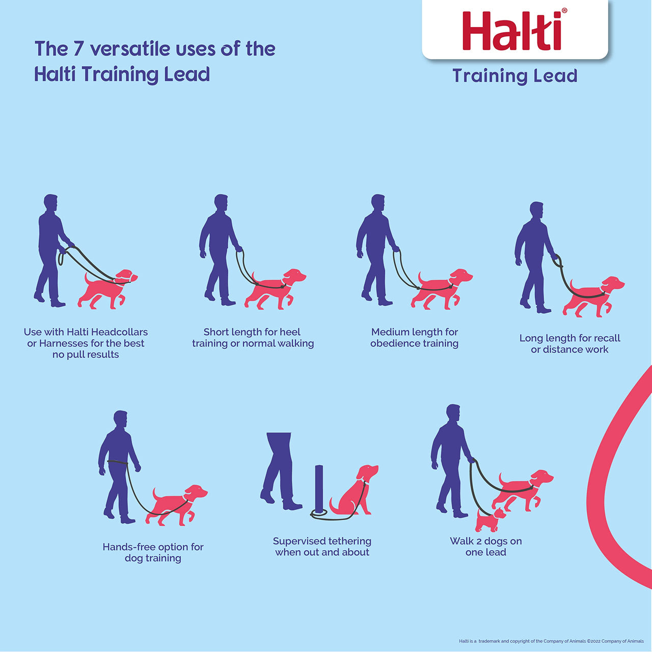 HALTI Training Leash - Multifunctional Double-Ended Dog Leash, Ideal for Anti-Pulling Dog Training. Easy to Use, Lightweight, Soft & Durable. Suitable for Puppies and Small Dogs (Size Small, Red)