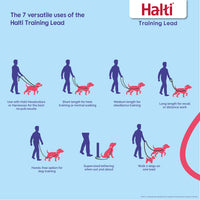 HALTI Training Leash - Multifunctional Double-Ended Dog Leash, Ideal for Anti-Pulling Dog Training. Lightweight & Durable. Suitable for Small to Medium Dogs & Puppies (Size Small, Desert Sand, 2m)