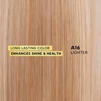 Berina Professional | Permanent Hair Color Cream | 60gm | A16 Lighter | Long Lasting Color