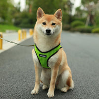 Voyager Step-in Air Dog Harness - All Weather Mesh Step in Vest Harness for Small and Medium Dogs by Best Pet Supplies - Lime Green (2-Tone), S Harness (Lime Green 2-Tone) S (Chest: 14.5 - 16