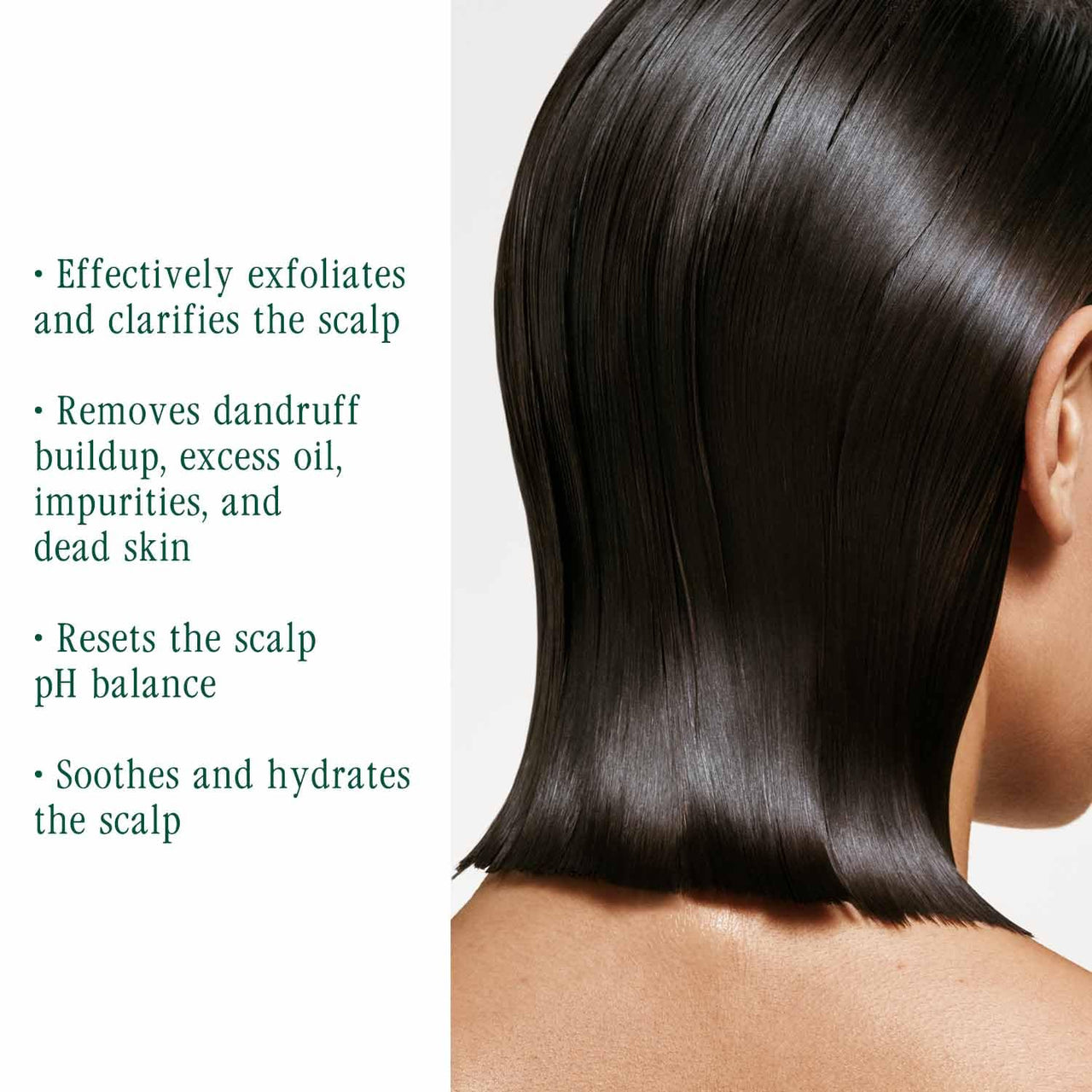 Biolage ScalpSync Concentrate –Scalp Exfoliating & Purifying Treatment, Clarifies Build-Up & Balances Scalp for upto 72hrs-With Fermented Tea Blend & Glycolic Acid, 200ml