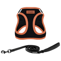 Voyager Step-in Air All Weather Mesh Harness and Reflective Dog 5 ft Leash Combo with Neoprene Handle, for Small, Medium and Large Breed Puppies by Best Pet Supplies - Black, Large L (Chest: 18 - 20.5