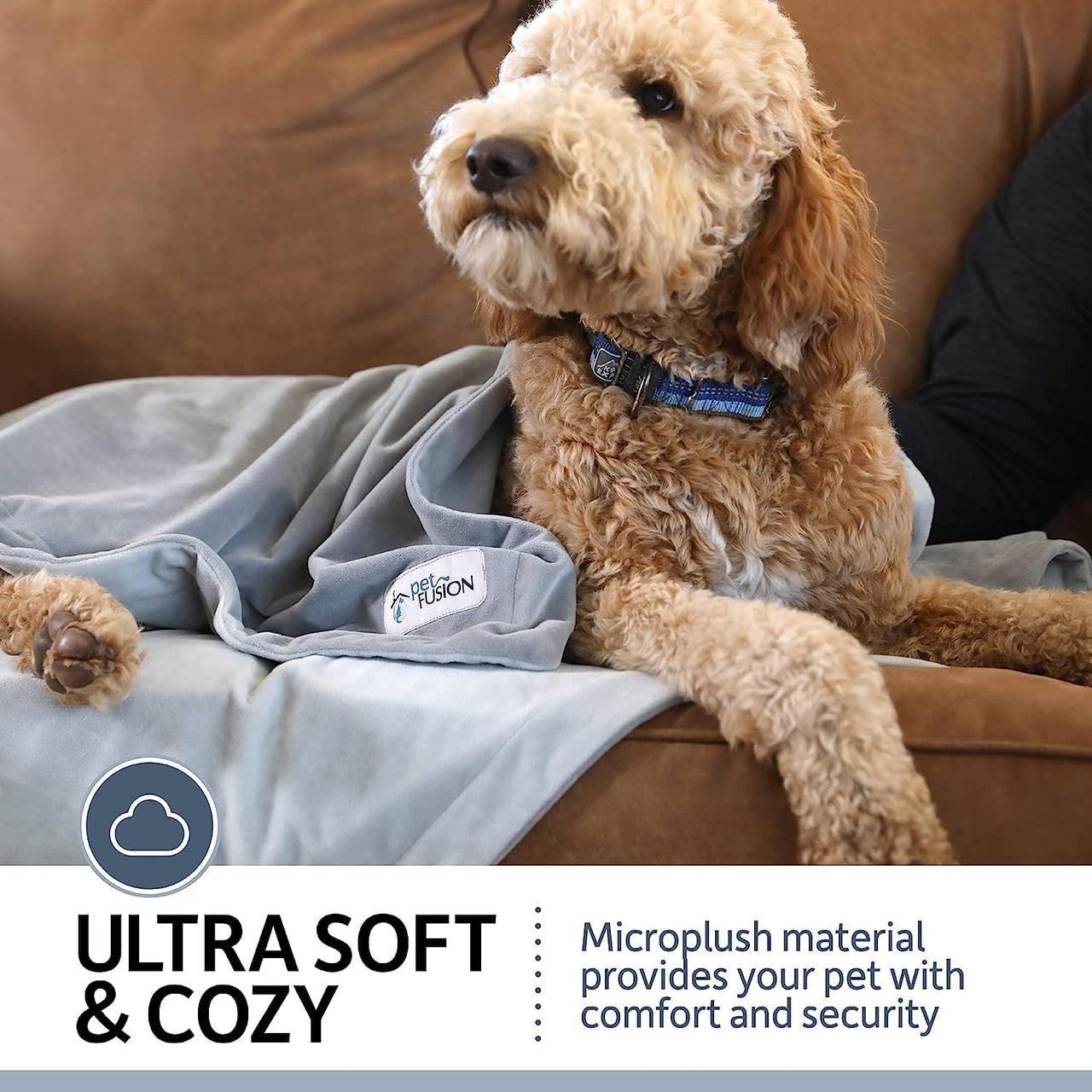 PetFusion Premium Dog Blanket, Cat Blanket | Ultra Soft Pet Blanket Available in Plush or Quilted, 2 Colors (Grey, Brown) | Perfect Blanket for Small Dogs & Large Dogs. 12 Month Warranty Small (31 x 27") Gray