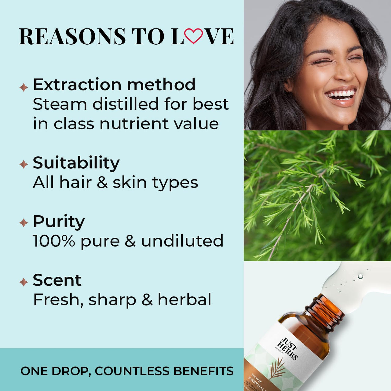 Just Herbs Tea Tree Steam 100% Pure Distilled Essential Oil for Hair | Skin | Fights Acne | Exfoliates Skin | Aromatherapy Relives Stress for Men and Women (10 ml)