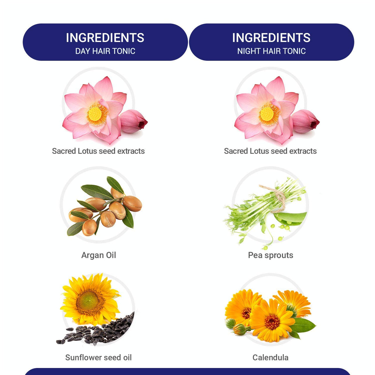 Mitchell USA Day & Night Hair Tonic | Reduces Hair Fall & Maintains Growth | Reduce Frizz And Provides Sun Protection | Lotus Seed Extracts, Argan Oil And Wheat Germ Oil | For Unisex | 100Ml + 100Ml