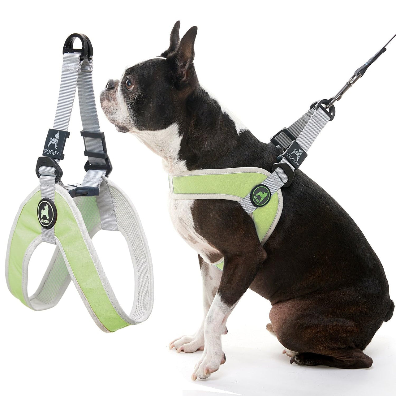 Gooby Simple Step in III Harness - Green, Small - Small Dog Harness with Scratch Resistant Outer Vest - Soft Inner Mesh Harness for Small, Medium Dogs Small chest (14.25∼17")