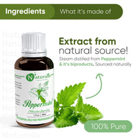 Naturalis Peppermint Essential Oil - Pure Therapeutic Grade Peppermint Oil For Hair, Skin Care, Steaming, Diffuser & Aromatherapy - Soothing Relief - 30Ml