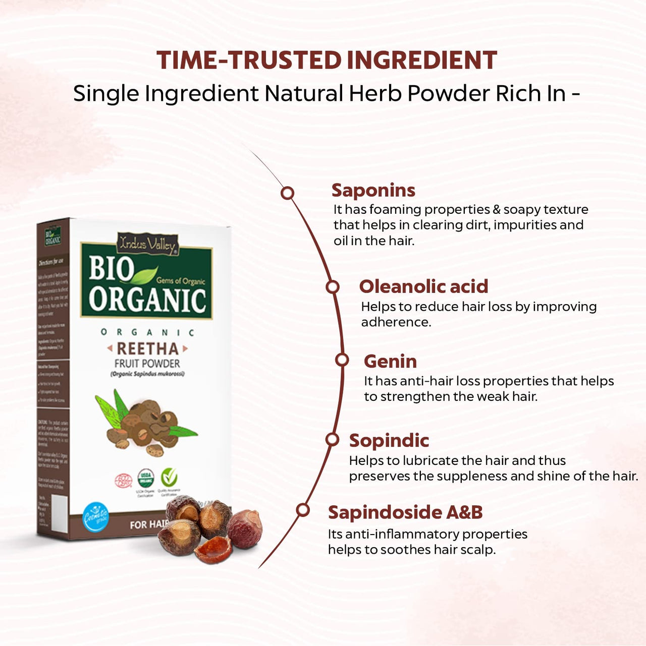 INDUS VALLEY 100% Organic Reetha Powder | Sapindus mukorossi For Hair & Scalp Treatment - (100g)