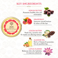 Khadi Essentials Beetroot Lip Balm with Wine Grapefruit, Lotus Flower, Shea Butter, Coconut Oil, For Dry Damaged and Chapped Lips, SLS Paraben-Free Lip Lightening Balm - 5gm