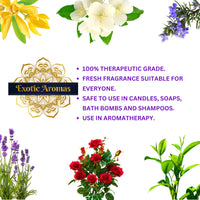 Exotic Aromas Essential Oil - Lavender Oil, Sandalwood Oil, Jasmine Oil, Rose Oil, Ylang Ylang Oil (Pack of 5)