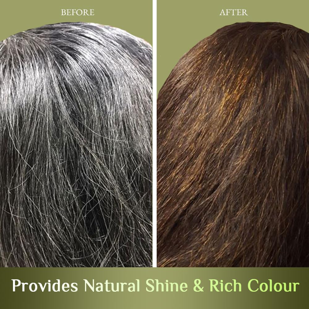 Richfeel Henna Mehendi 100g (Pack of 6) | 100% Natural Plant-Based Hair Color | Reduces Hair Fall, Improves Hair Health & Repairs from Root to Tip | Reddish-Brown Tint