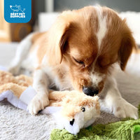 Best Pet Supplies 2-in-1 Stuffless Squeaky Dog Toys with Soft, Durable Fabric for Small, Medium, and Large Pets, No Stuffing for Indoor Play, Holds a Plastic Bottle - Hare, Pig, Medium