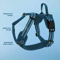 Air Frontier Mesh Dog Harness with Steel Leash D-Ring, Reflective Stitching, and Lightweight Breathable No-Pull Design, Adjustable Neck and Chest Straps for Small to Large Breeds - BUW, S