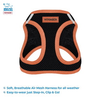 Voyager Step-in Air All Weather Mesh Harness and Reflective Dog 5 ft Leash Combo with Neoprene Handle, for Small, Medium and Large Breed Puppies by Best Pet Supplies - Black, Large L (Chest: 18 - 20.5