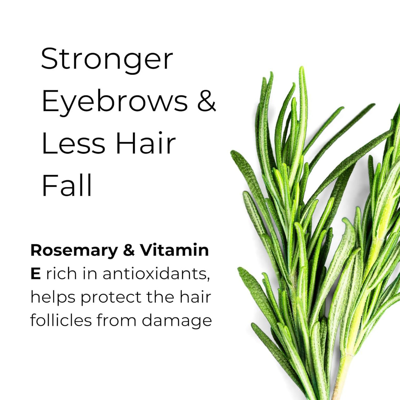 Noor Skincare Eyebrow & Eyelash Growth Serum/Oil - Organic, Brow & Lash Boosting Enhancer for Thick Eyebrows and Eyelashes - has Castor oil for Volume & comes with Applicators (30 ml)