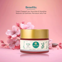 Ashpveda Ayurvedic Rose Petal Lip Balm For Dry & Chapped Lips With Kokum Fruit, Rose Flowers and Almond Oil | Lip UV Protection & Nourishment | Lip Balm with SPF for Soft Pink Lips