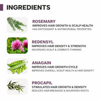DERMATOUCH Rosemary Water Spray For Hair Growth (100 ml) | Advance 2% Actives Rosemary, Redensyl, Anagain + Procapil Hair Spray Mist for Hair Fall Control, Stimulates Hair Growth, Adds Shine , Strengthens Hair