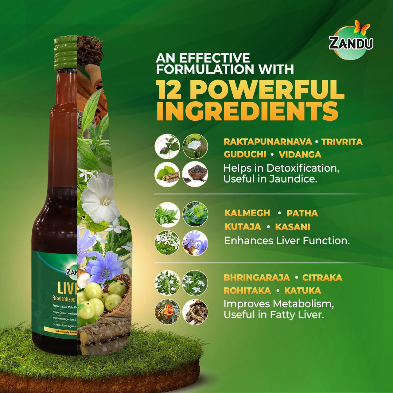 Zandu Livital Syrup – 200 ml | Scientifically proven Ayurvedic Liver Care & Detox Support |Revitalises Liver Health Naturally & Boosts Appetite & Digestion | Blend of 12 Potent Herbs