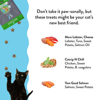 Shameless Pets Crunchy Cat Treats - Kitty Treats for Cats with Digestive Support, Natural Ingredients Kitten Treats with Real Ingredients, Healthy Flavored Feline Snacks - Variety Pack, 3-Pk Variety Pack - 3 Count 2.5 Ounce (Pack of 3)