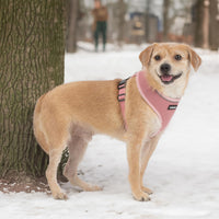 Aerolite No Pull Mesh Dog Harness with Lightweight, Soft, Breathable Chest Coverage, Reflective Stitching, and Adjustable Straps for Walking, Running, Training, Heavy Duty and Durable - Pink, S