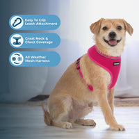 Aerolite No Pull Mesh Dog Harness with Lightweight, Soft, Breathable Chest Coverage, Reflective Stitching, and Adjustable Straps for Walking, Running, Training, Heavy Duty and Durable - Fuchsia, M