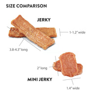 Dogswell Skin and Coat Grain-Free Salmon Jerky for Dogs, 10 Ounces, Model: 842225 10 Ounce (Pack of 1)